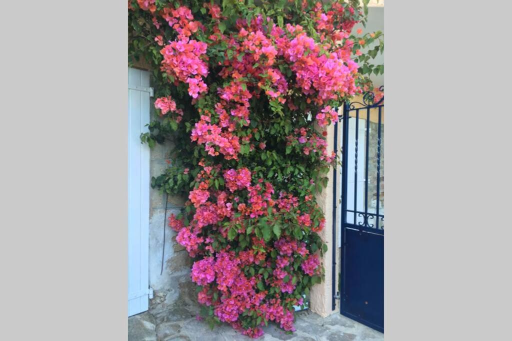 Villa Coco Beach Le Lavandou Extérieur photo